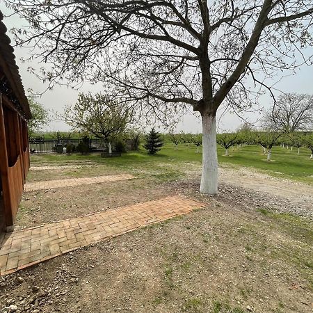 Salas Isailovi Sremska Mitrovica Exterior foto